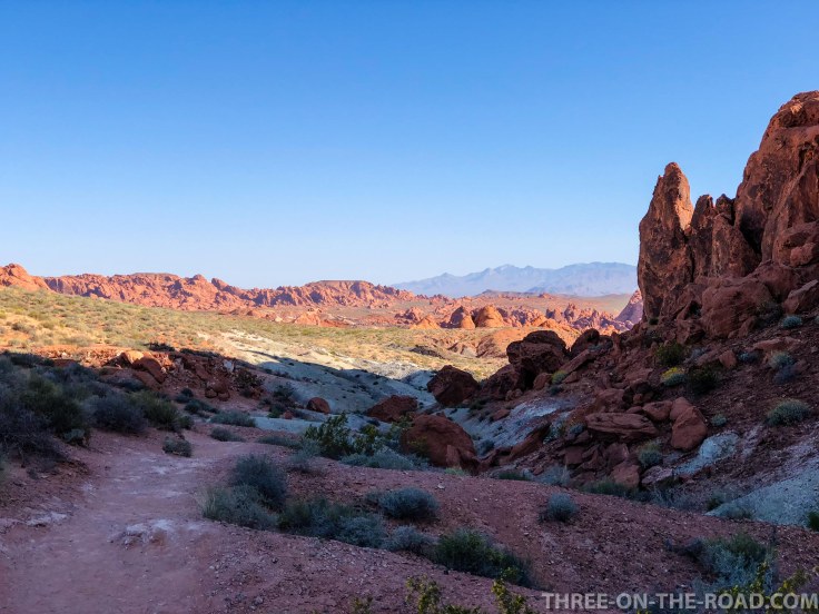 20180424-20180424-IMG_5111