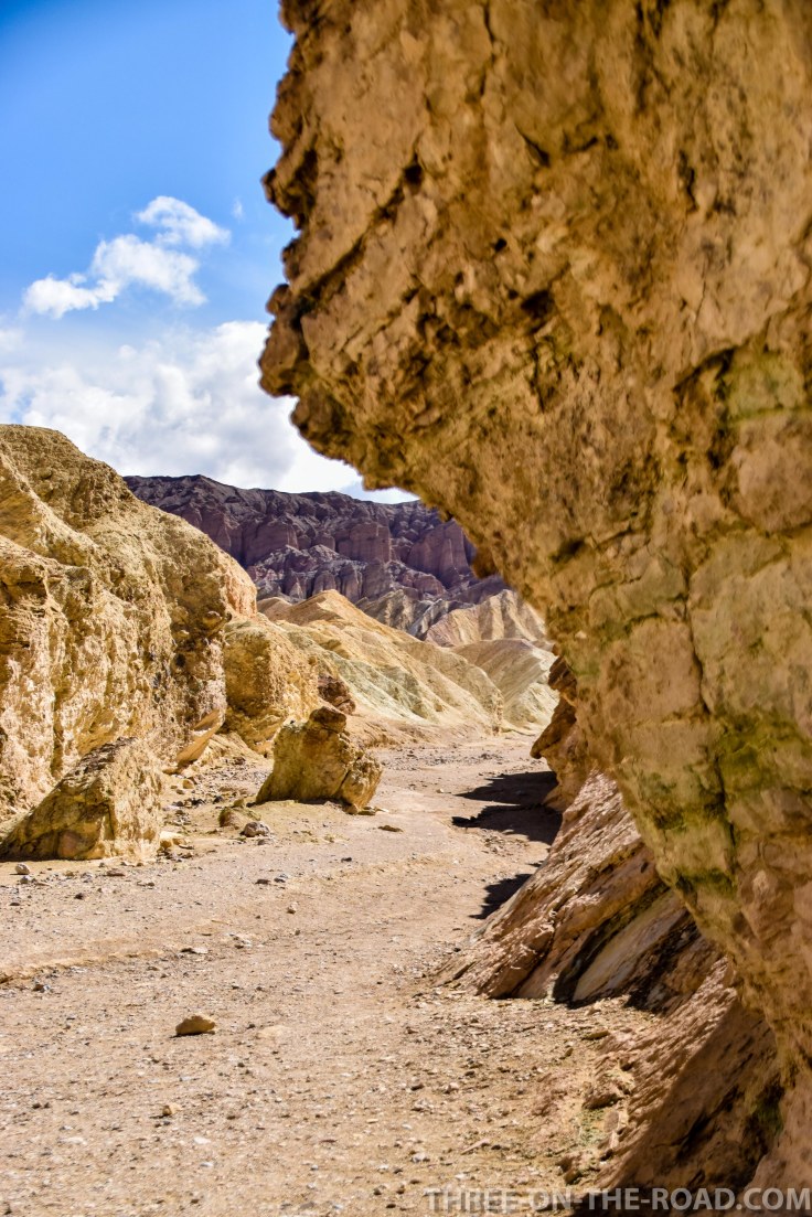 20180502-20180502-DSC_0017