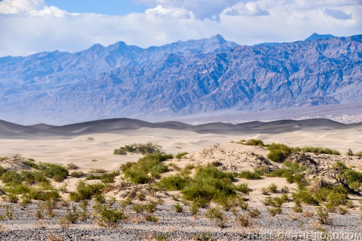 20180502-20180502-DSC_0132