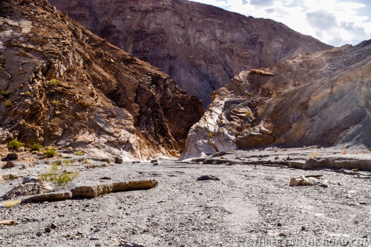 20180502-20180502-DSC_0164