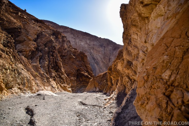 20180502-20180502-DSC_0168