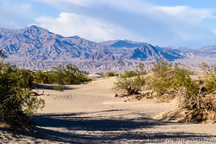 20180502-20180502-DSC_0193