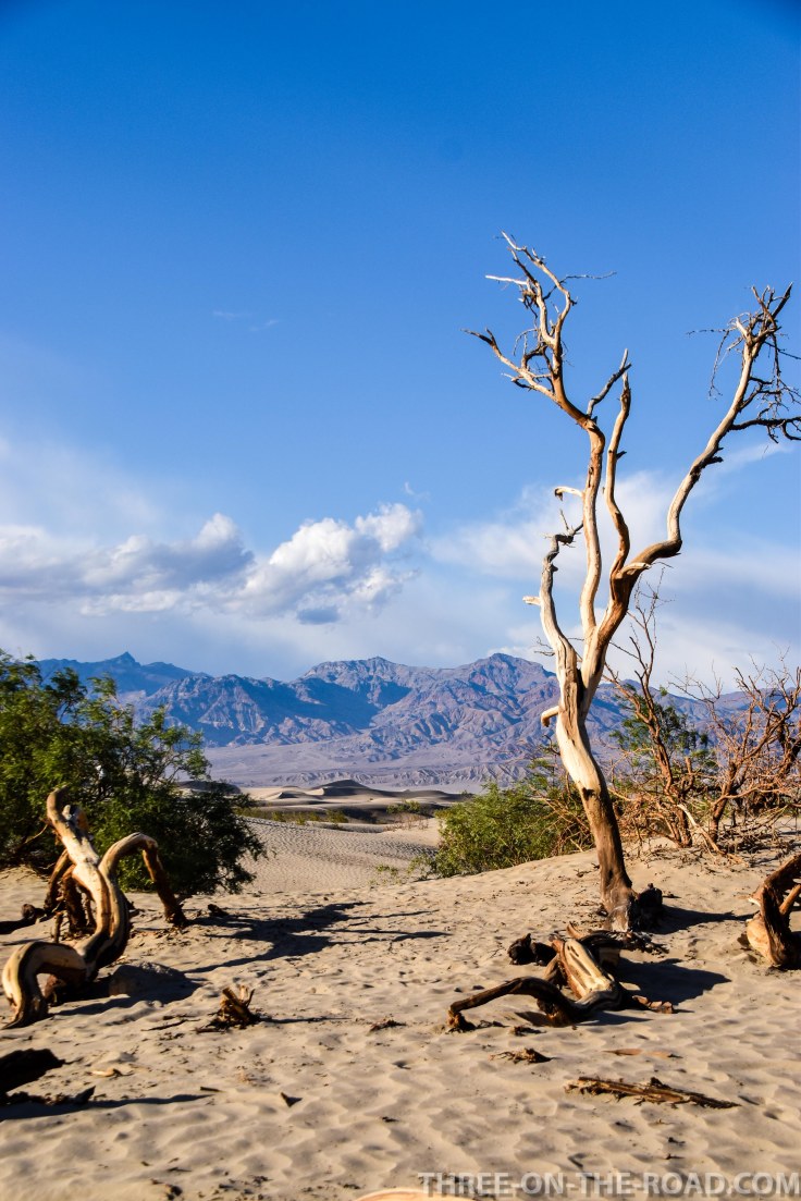 20180502-20180502-DSC_0194