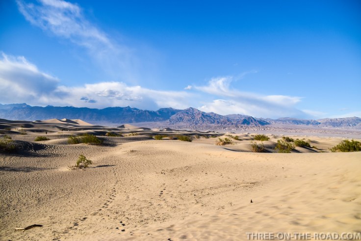 20180502-20180502-DSC_0207