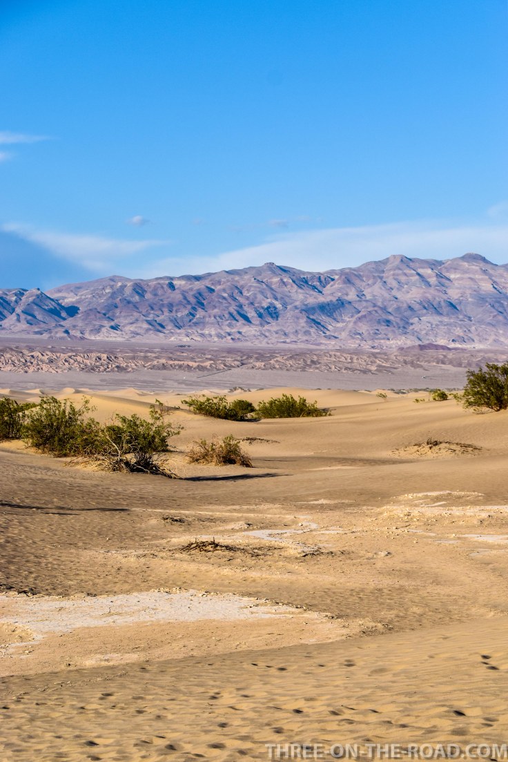 20180502-20180502-DSC_0216