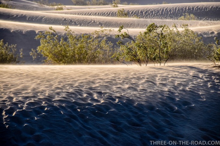 20180502-20180502-DSC_0219