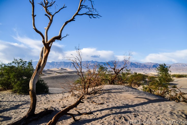 20180502-20180502-DSC_0221