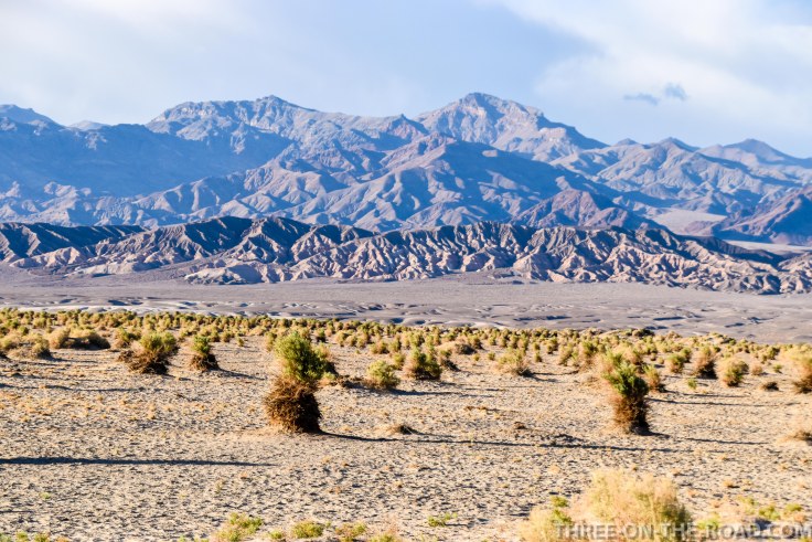 20180502-20180502-DSC_0229