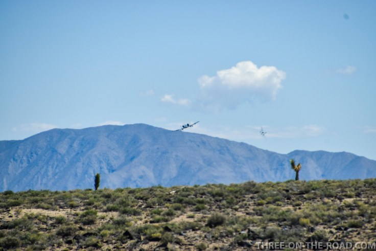 20180503-20180503-DSC_0312