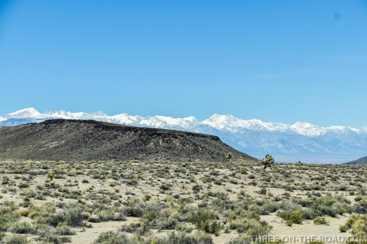 20180503-20180503-DSC_0317