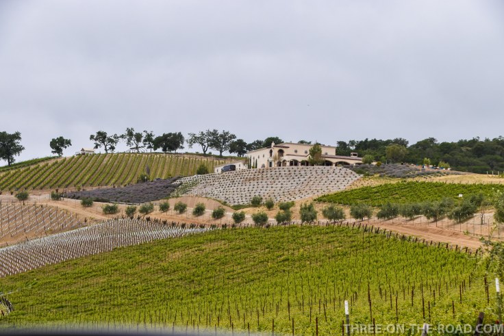 PasoRobles_II-1