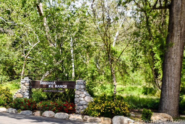 Sequoia_Campground-2