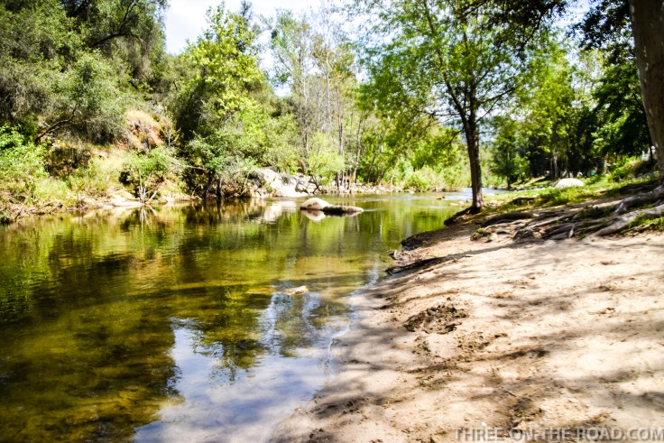 Sequoia_Campground-4