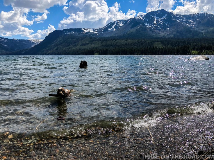 TahoeFallenLeaveLake-1
