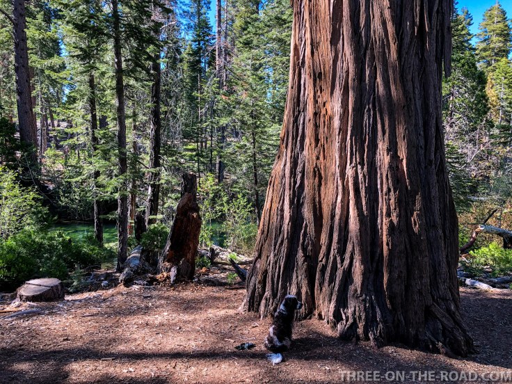 TahoeFallenLeaveLake-2