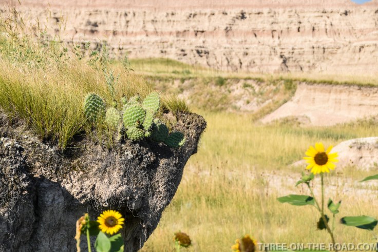 BadlandsCastleTrail-3