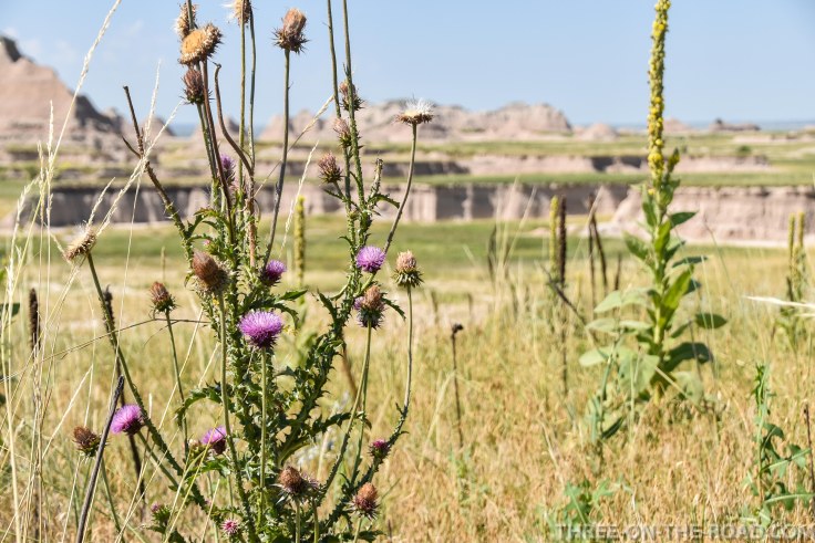 BadlandsCastleTrail-9