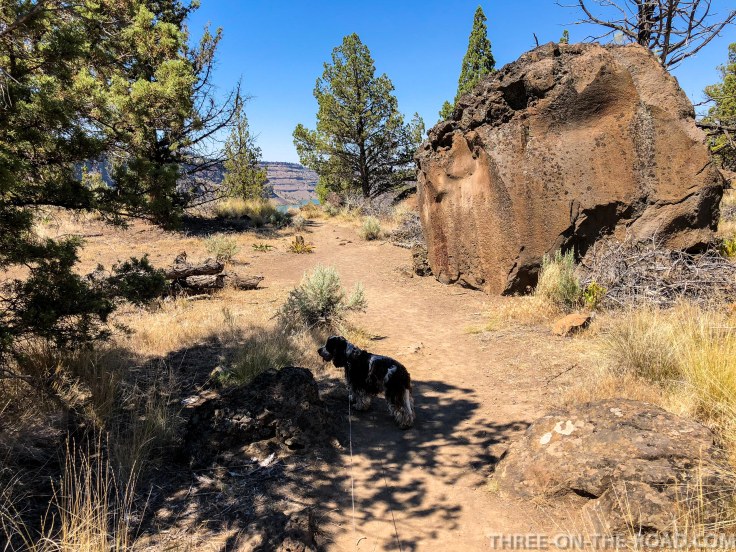 CovePallisadesHike-7