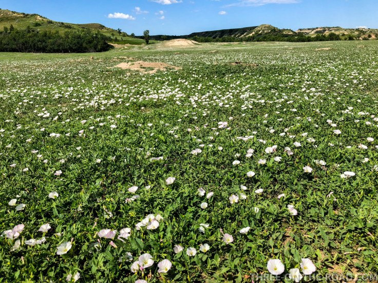 TheodoreRooseveltNP-2