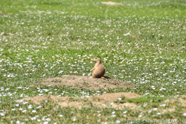 TheodoreRooseveltNP-3