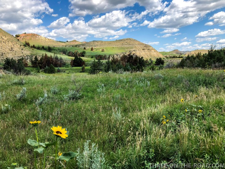 TheodoreRooseveltNP-5