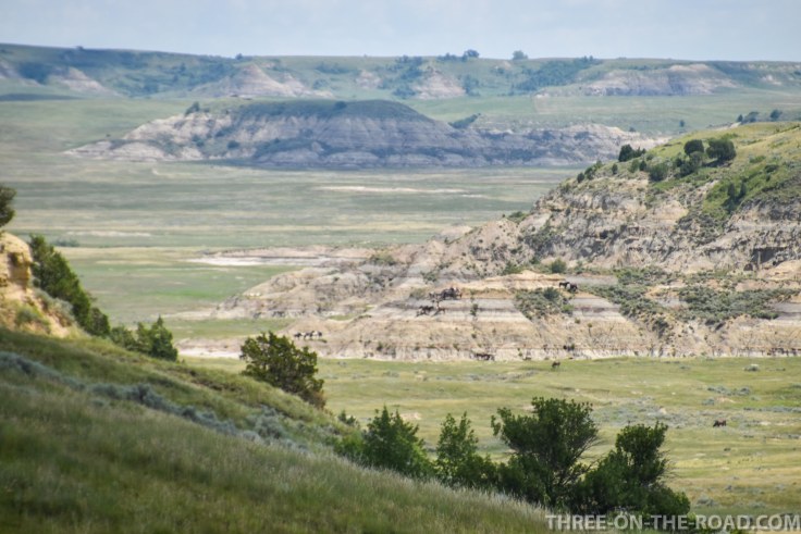 TheodoreRooseveltNP-7