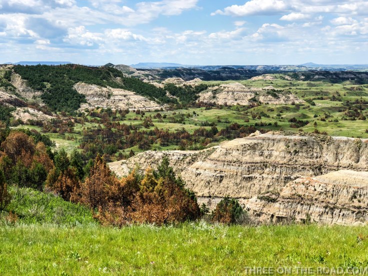 TheodoreRooseveltNP-8