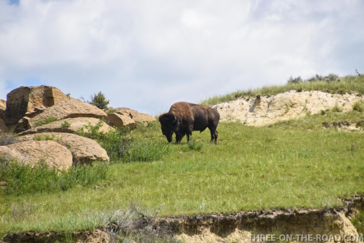 TheodoreRooseveltNP-9