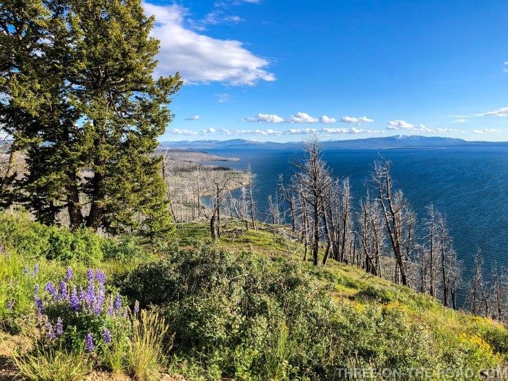Yellowstone-DivAndHikes-1