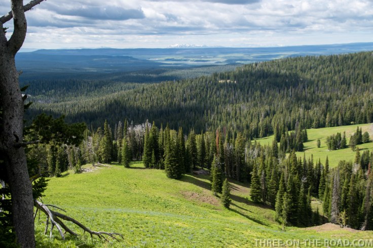 Yellowstone-DivAndHikes-3