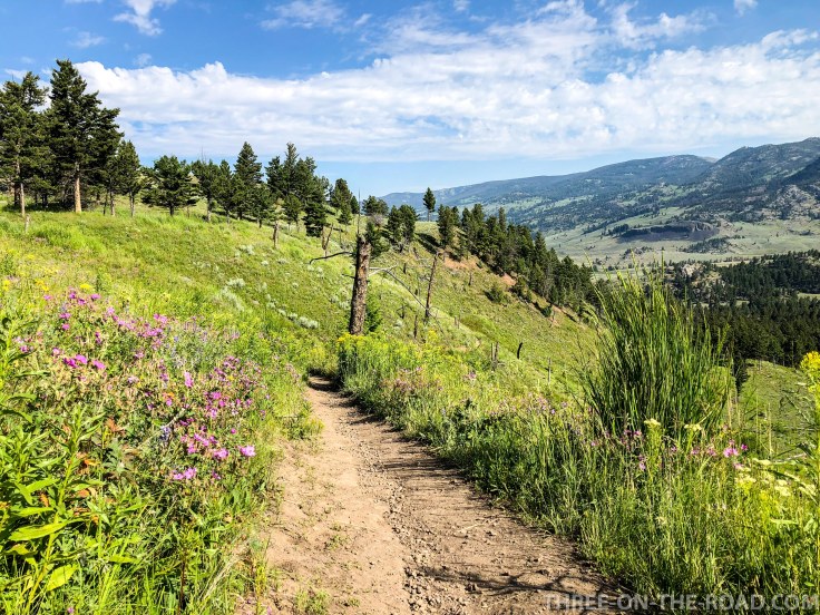Yellowstone-DivAndHikes-6