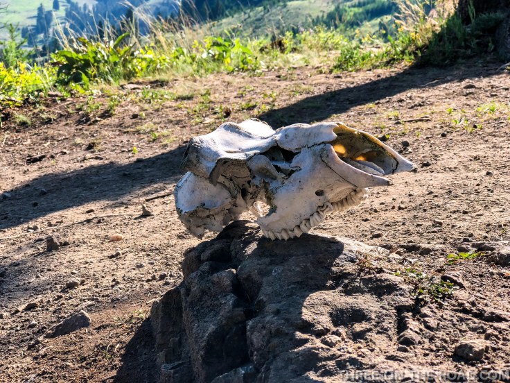 Yellowstone-DivAndHikes-7