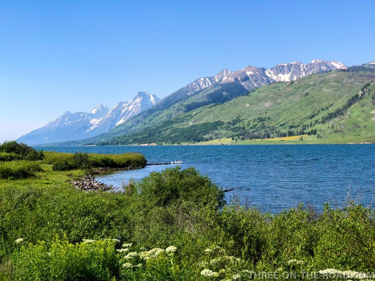Yellowstone-GrandTeton-1