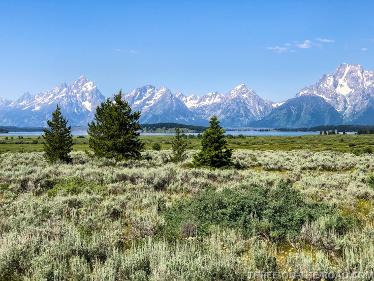 Yellowstone-GrandTeton-2