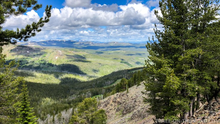 Yellowstone-HikeMtWashburn-1