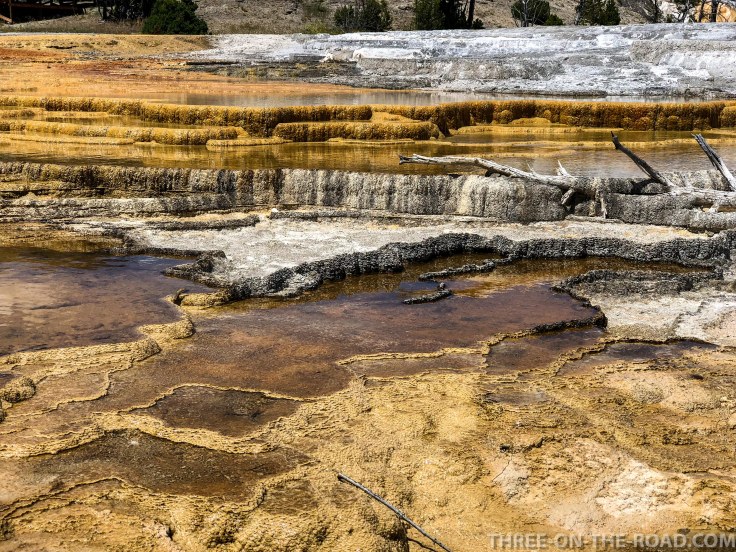 Yellowstone-MammothTeraces-1