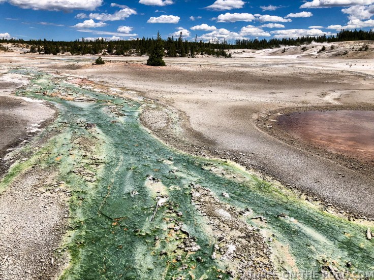 Yellowstone-Thermal-2