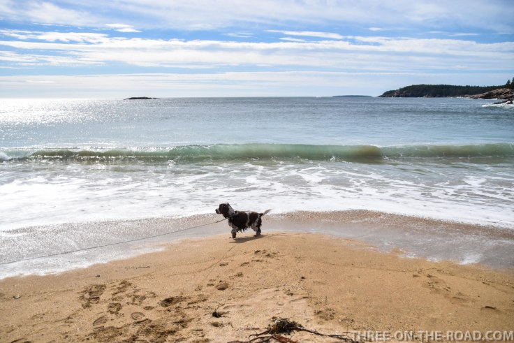 Acadia: Sand Beach, Great Head Trail