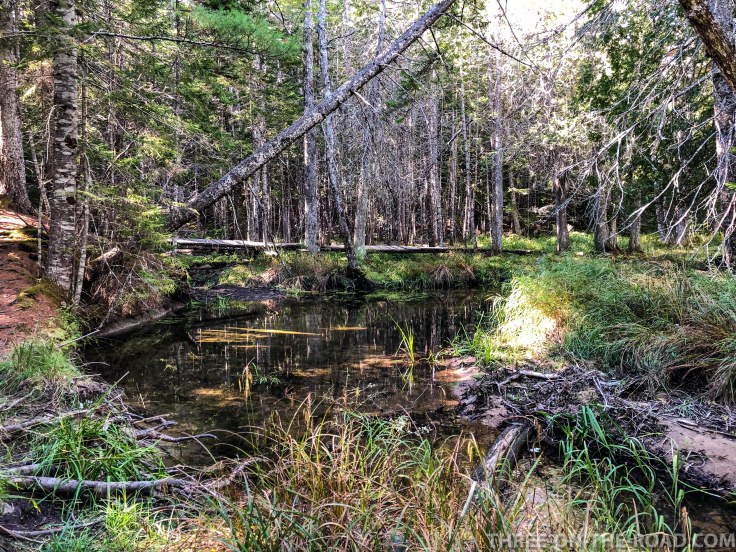 Acadia: Little Long Pond Trail