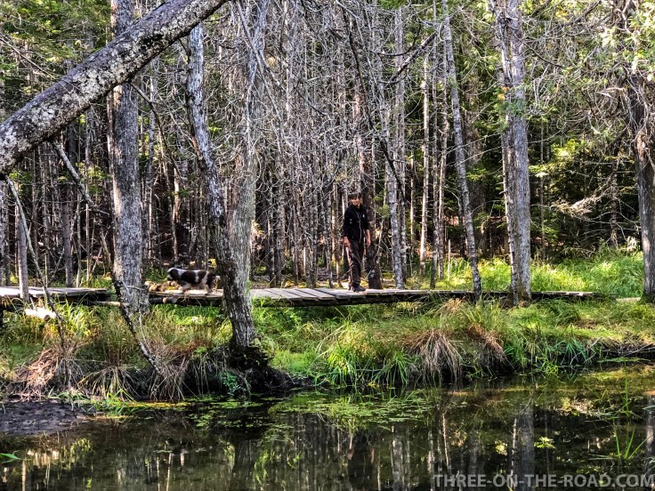 Acadia: Little Long Pond Trail