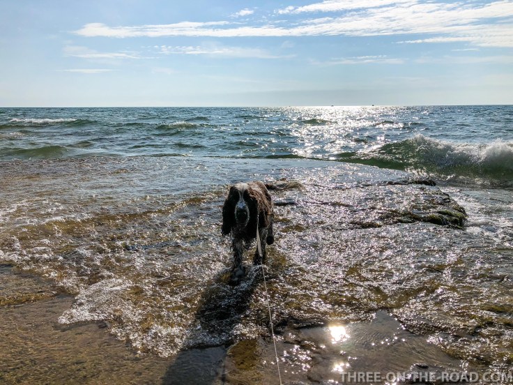 Snakefoot Trail_Robert Wehle SP