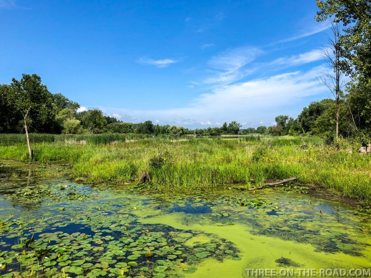 Bay City SP Campground