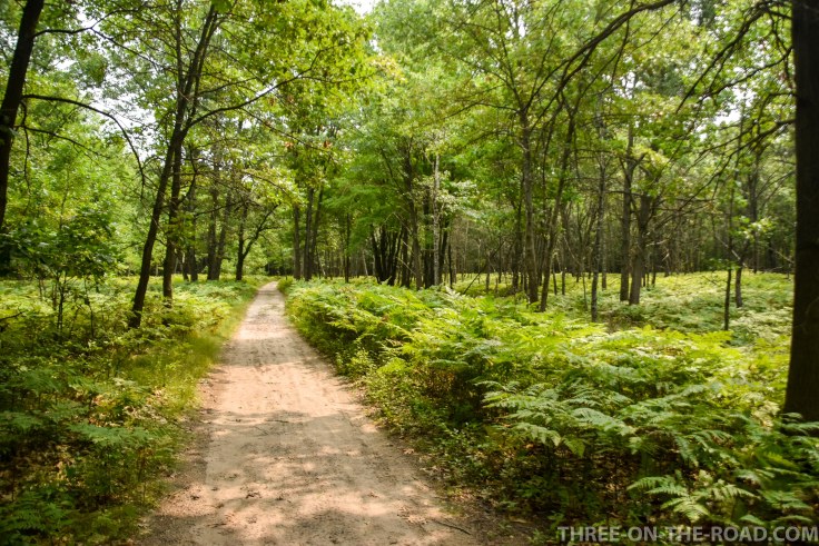 Bay City SP Campground