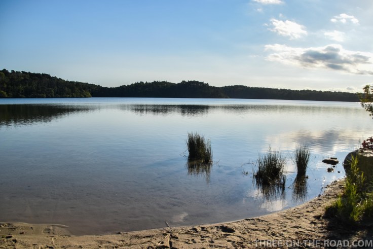 Nickerson SP, Cape Cod