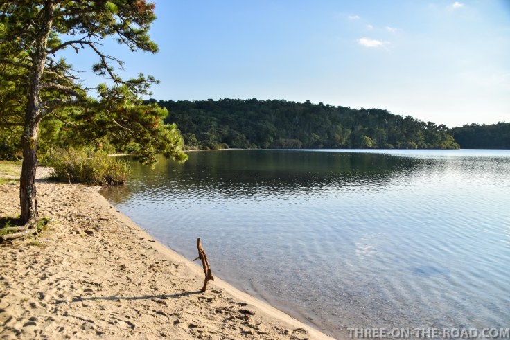 Nickerson SP, Cape Cod