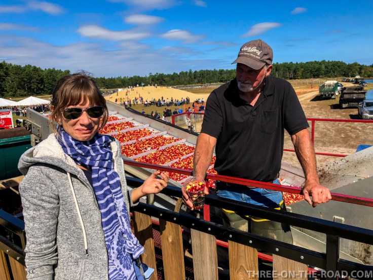 Cranberry Festival, Cape Cod