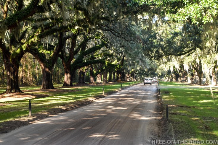 Charleston, Boone Hill Plantation