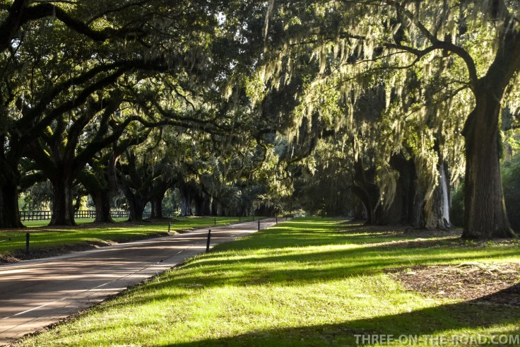 Charleston, Boone Hill Plantation