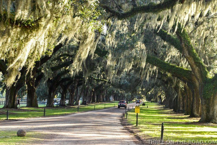Charleston, Boone Hill Plantation