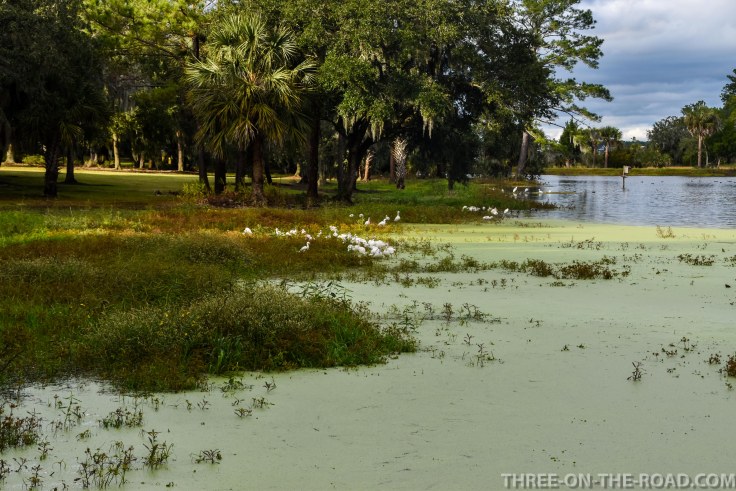 Charleston, Boone Hill Plantation